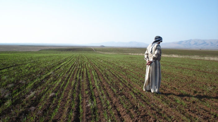 الزراعة في العراق